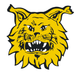 FC Ilves Alfa (FI)