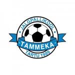 JK Tammeka Sinine I